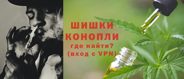 PSILOCYBIN Кукмор