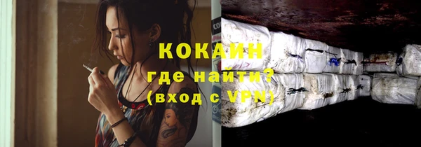 стаф Кулебаки