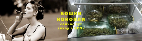 PSILOCYBIN Кукмор