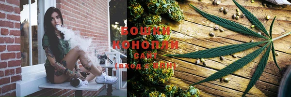 стаф Кулебаки