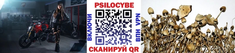 Галлюциногенные грибы мицелий  как найти закладки  Тихорецк 